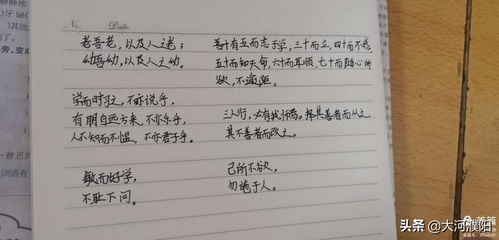 描寫油田十中校園作文