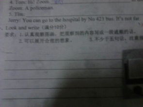 校園采摘活動(dòng)作文500字