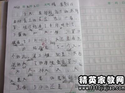 愛護(hù)地球綠化校園作文450字