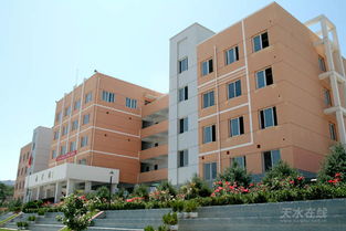 新的校園新的環(huán)境作文高中