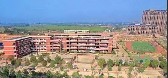 書(shū)香校園伴我成長(zhǎng)初二作文1000字