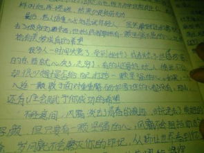 情滿校園作文1000字