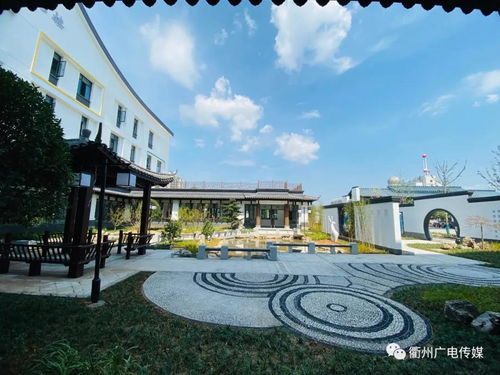 鹿鳴小學(xué)新校園作文