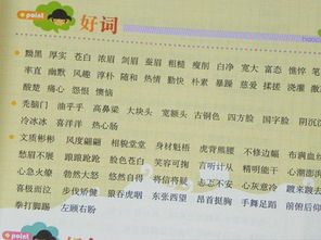 可愛的校園作文400字好詞好句