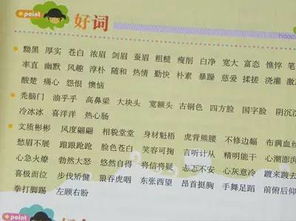 校園風(fēng)景線作文的好詞好句