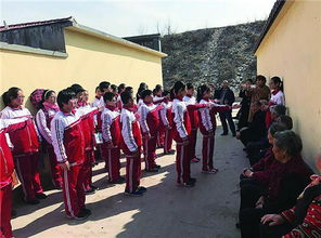 萊蕪市,作文,花園,學(xué)校