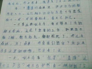 漫步在秋天的校園里作文800字