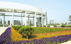 我的校園小作文100字