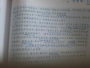 那是,作文,一道風(fēng)景,校園