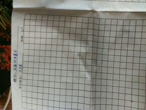 校園欺凌的作文500