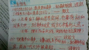 輕聲慢步靜我校園作文50