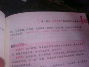 我愛我的校園作文三百個字左右作文