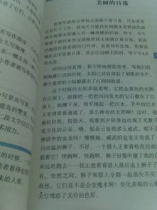 校園小景400字作文動(dòng)靜結(jié)合