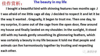 校園消息新聞作文初二600字,校園消息作文初二300字,新聞校園消息作文初二200字