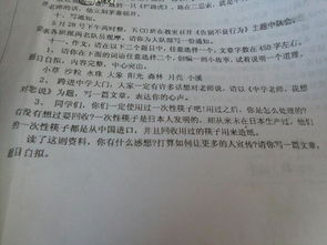 我們美麗的校園450字作文怎么寫