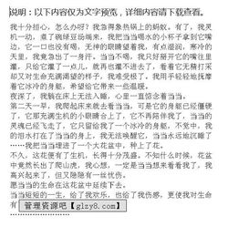 難以忘懷的校園生活500字作文