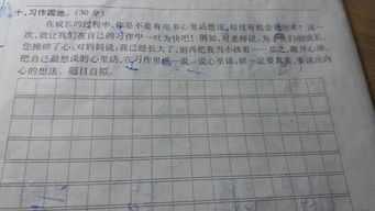 校園晨跑作文600字四級