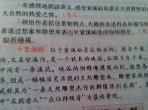 校園導(dǎo)游作文二百字