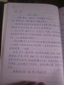 新的同學(xué)新的校園作文600字