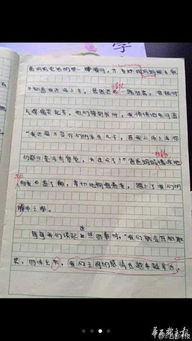 校園里真有趣作文400字左右