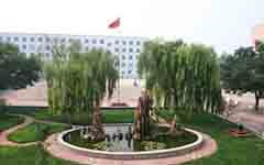 四級(jí)寫校園作文350字左右