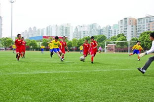 精彩的校園足球比賽作文五百字