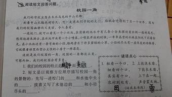 為題,作文,寫(xiě)一篇,校園