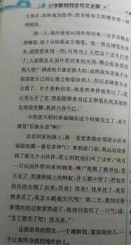 校園里的花園400450作文