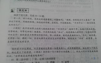 關(guān)于校園的作文小標(biāo)題,校園寫(xiě)真作文小標(biāo)題,校園作文題記和小標(biāo)題