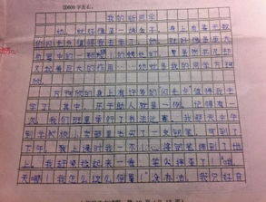 我的新校園600字作文七級(jí)