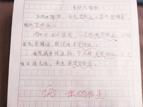 關(guān)于校園奇葩的作文600字