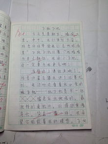 寫(xiě)校園里難忘的一件事作文400字