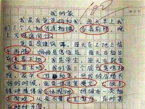 夢回校園作文400字