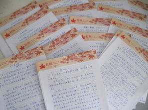 校園表演校風(fēng)作文