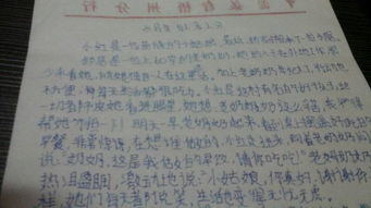 校園的菜園作文四級(jí)400字