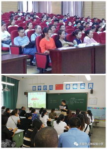 讓文明成為校園最美風(fēng)景作文