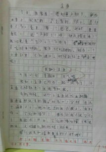 校園一角作文350字四年級,校園一角的作文350字左右,寫校園一角作文350字