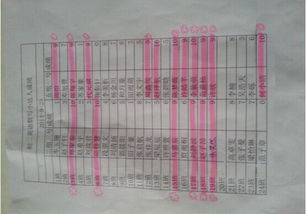 校園活動報道英語作文