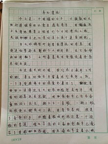 在校園里的快樂400字作文六級(jí)