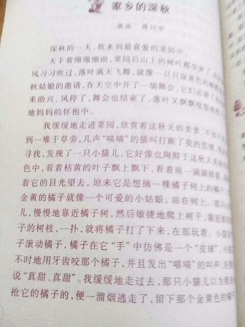 作文,結(jié)尾,風(fēng)光無限,校園