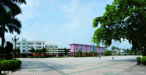 校園的一角作文臺(tái)山新寧中學(xué)