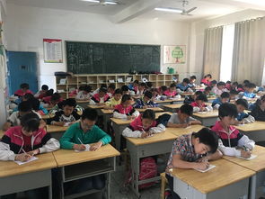 百度陽光校園作文