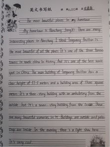 作文,英語,運動會,校園