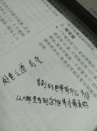 校園小說感恩800字作文大全