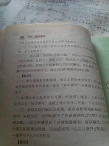 美麗的校園五百字初一作文