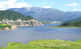 校園的風(fēng)景初一作文600字作文大全