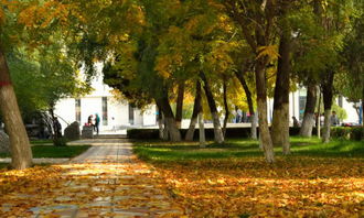 初一新的校園作文600字