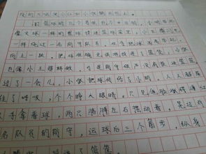 平安校園作文一等獎500字,平安校園作文一等獎范文大全,平安校園作文500字