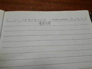 作文,操場,校園