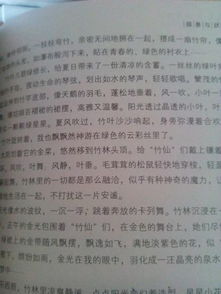 作文,順序,校園,空間